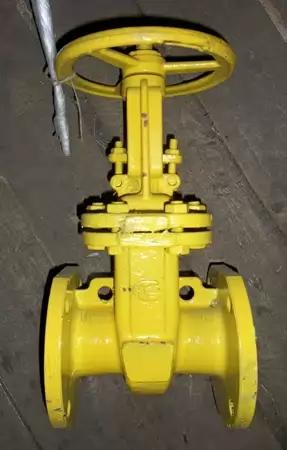 30с41нж газ Ду-50